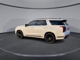 New 2025 Hyundai Palisade Calligraphy image 6