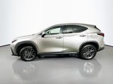 Used 2025 Lexus NX 350 AWD w/ Accessory Package (2T) image 4