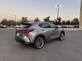 New 2026 Lexus NX 350 AWD w/ Luxury Package image 6