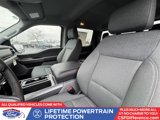 New 2025 Ford F150 XLT w/ Equipment Group 302A MID image 4