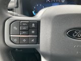 New 2025 Ford F150 XLT w/ Equipment Group 302A MID image 5