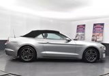 Used 2023 Ford Mustang Premium image 4