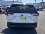 Used 2021 Toyota RAV4 XLE Premium image 4