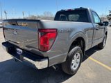 New 2025 Ford F150 XL w/ Equipment Group 103A High image 5