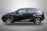 Used 2020 Lexus NX 300 AWD w/ Premium Package image 3