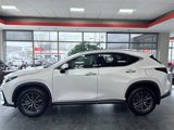 Used 2024 Lexus NX 250 AWD w/ Cold Area Package image 2