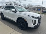New 2025 Hyundai Palisade XRT image 4