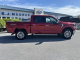 New 2025 Ford F150 XLT w/ Equipment Group 303A High image 2