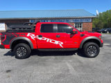 Used 2012 Ford F150 SVT Raptor image 2