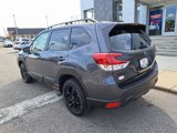 New 2025 Subaru Forester Wilderness image 4