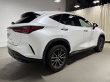 Used 2024 Lexus NX 350 AWD w/ Cold Area Package image 4
