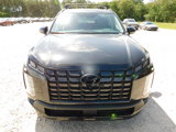 New 2025 Hyundai Palisade XRT image 2