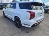 New 2025 Hyundai Palisade Calligraphy image 5