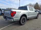 New 2025 Ford F150 XLT w/ Equipment Group 302A MID image 4