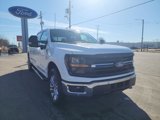 New 2025 Ford F150 XLT image 3