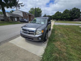 Used 2011 Ford Escape XLT w/ 202A Rapid Spec Order Code image 4