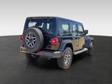 New 2025 Jeep Wrangler Sahara image 4