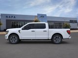 New 2025 Ford F150 STX w/ Equipment Group 200A image 3