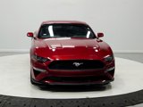 Used 2019 Ford Mustang Coupe w/ Equipment Group 101A image 2