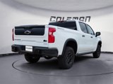 New 2025 Chevrolet Silverado 1500 ZR2 w/ ZR2 Bison Edition image 5