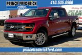 New 2025 Ford F150 XLT w/ Equipment Group 302A MID image 2