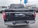 New 2025 Ford F150 Lariat w/ Equipment Group 502A High image 4