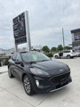 Used 2020 Ford Escape Titanium image 2