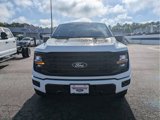 New 2025 Ford F150 XLT w/ Equipment Group 301A Standard image 3