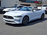 Used 2022 Ford Mustang Premium image 5