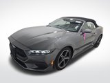 Certified 2024 Ford Mustang Premium image 2