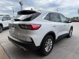 Used 2020 Ford Escape SE image 4
