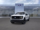 New 2025 Ford F150 STX w/ Equipment Group 201A FX4 image 2