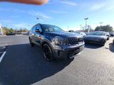 New 2025 Kia Telluride EX X-Line image 3