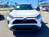 Used 2019 Toyota RAV4 XLE Premium image 2