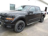 New 2025 Ford F150 XLT image 2
