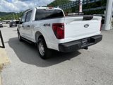 New 2025 Ford F150 XL image 4
