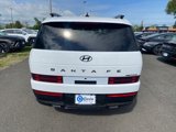 New 2025 Hyundai Santa Fe Calligraphy image 5