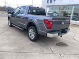 New 2025 Ford F150 XLT w/ Equipment Group 303A High image 3