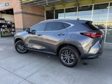 Used 2024 Lexus NX 350 AWD w/ Vision Package image 5