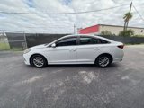 Used 2019 Hyundai Sonata SE w/ Cargo Package image 4