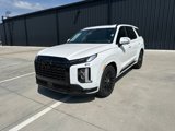 New 2025 Hyundai Palisade Calligraphy image 1