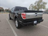 Used 2013 Ford F150 Platinum image 3