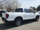 New 2025 Honda Ridgeline TrailSport image 3