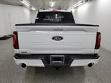 New 2025 Ford F150 XLT w/ Equipment Group 302A MID image 5