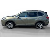 Certified 2024 Subaru Forester Limited image 2