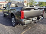 New 2025 Toyota Tundra 1794 Edition image 3
