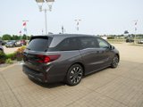 New 2025 Honda Odyssey Elite image 5