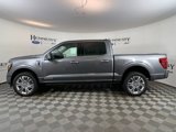 New 2025 Ford F150 Platinum image 3