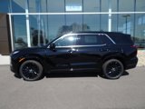 New 2025 Hyundai Palisade Calligraphy image 2