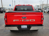 Used 2021 Ford F150 XLT w/ Equipment Group 302A High image 4